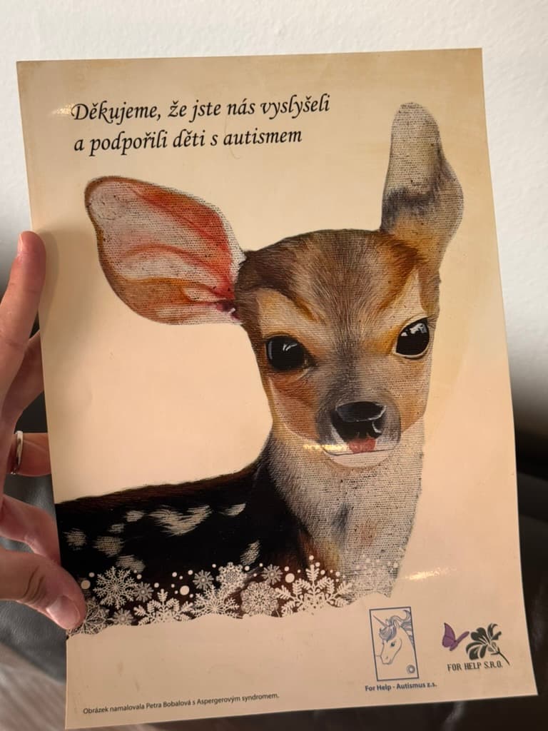 For Help — podpora dětí s autismem